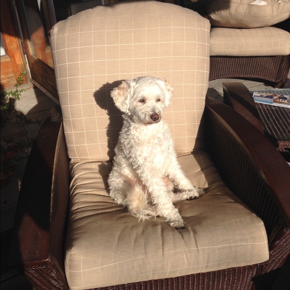 Enjoy Momma’s Closet? We ❤️ that you came by❣️ - Picture 7 of 8